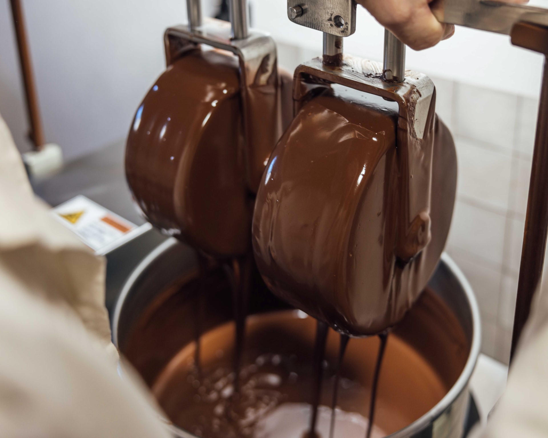 Jak se vyrábí čokoláda aneb jak jsme začínali